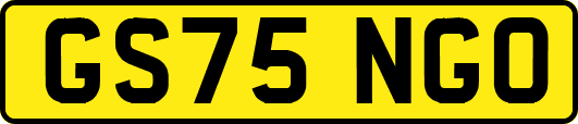 GS75NGO