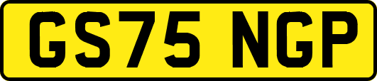 GS75NGP
