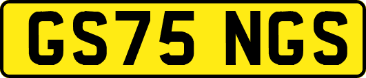 GS75NGS