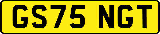 GS75NGT
