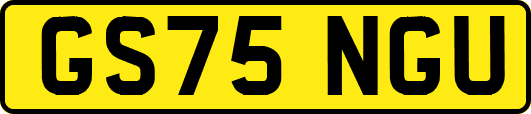 GS75NGU