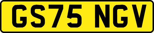 GS75NGV