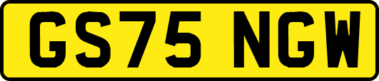 GS75NGW