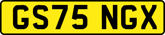 GS75NGX