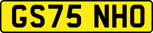 GS75NHO