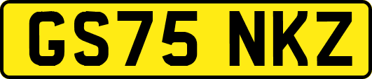 GS75NKZ