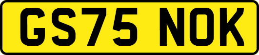 GS75NOK