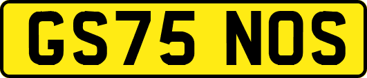 GS75NOS