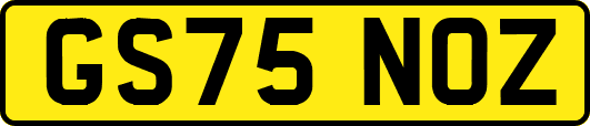 GS75NOZ