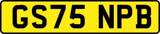 GS75NPB