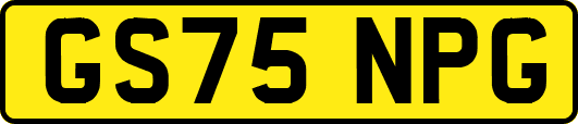 GS75NPG