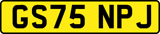 GS75NPJ