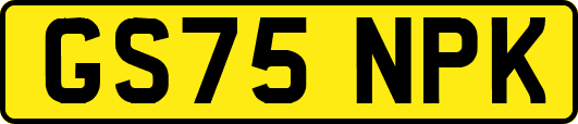 GS75NPK