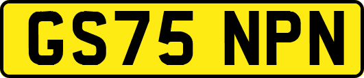GS75NPN
