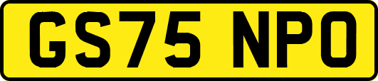 GS75NPO