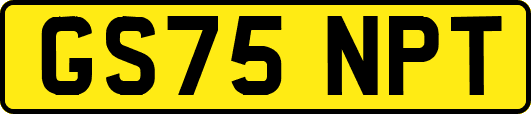 GS75NPT