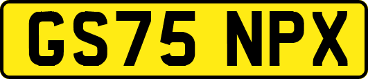 GS75NPX