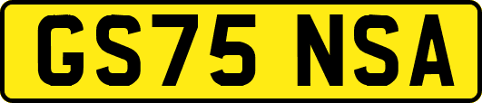 GS75NSA