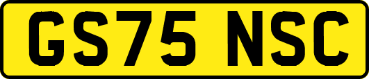 GS75NSC