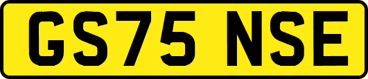 GS75NSE