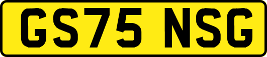 GS75NSG