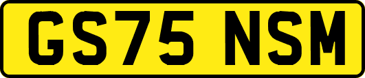 GS75NSM