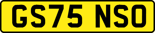 GS75NSO