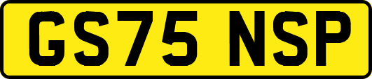 GS75NSP