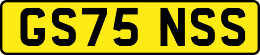 GS75NSS