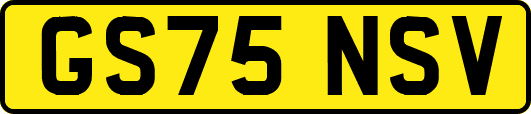 GS75NSV