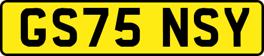 GS75NSY