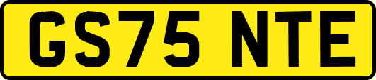 GS75NTE