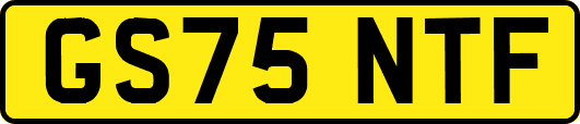 GS75NTF