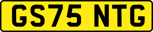GS75NTG