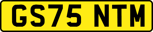 GS75NTM