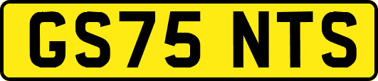 GS75NTS