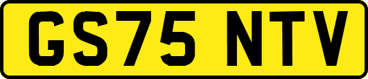 GS75NTV