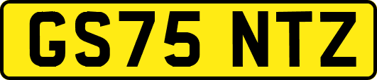 GS75NTZ