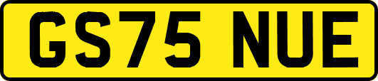 GS75NUE