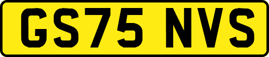 GS75NVS