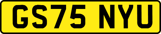 GS75NYU