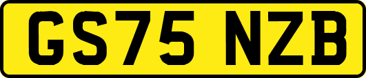 GS75NZB
