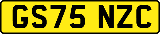 GS75NZC