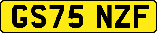 GS75NZF