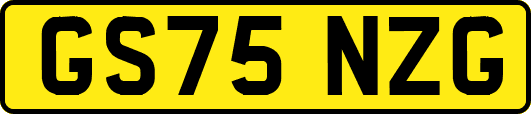 GS75NZG