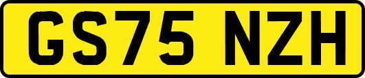 GS75NZH
