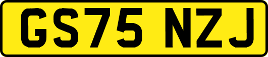 GS75NZJ