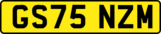 GS75NZM