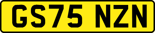 GS75NZN