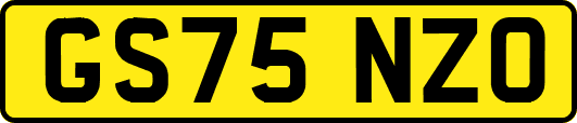 GS75NZO